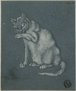 Pata de gato lambendo de Unknown artist