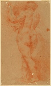 Estudo contraprova de uma mulher nua de Unknown artist