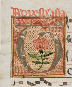 Inicial "T" decorada com flor de um manuscrito de Unknown artist
