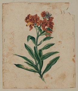Desenho de projeto, início do século XVIII de Unknown artist