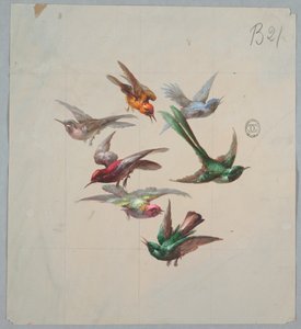 Design para papel de parede e têxteis: pássaros de Unknown artist