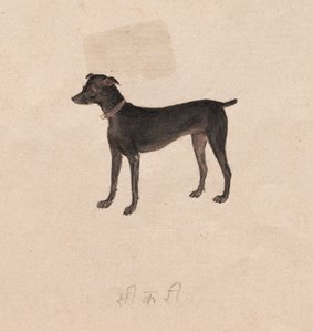 Cadela de Unknown artist