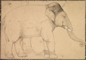 Desenho de um elefante de Unknown artist