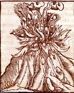 Erupção de um vulcão. Gravura do século XVI. de Unknown artist
