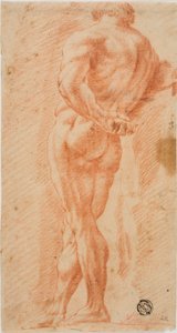 Farnese Hércules de Unknown artist