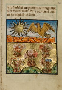 Cinco cachos de flores de Unknown artist