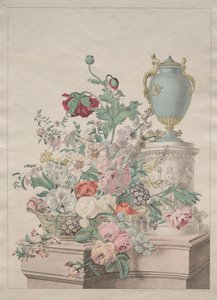 Flora pitoresca ou coleção de frutas e flores de Unknown artist
