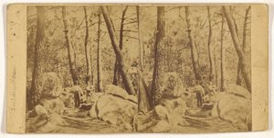 [Fontainebleau] de Unknown artist