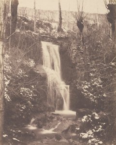 [Cena de floresta com cascata e riacho]. de Unknown artist