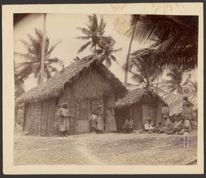 [Grupo em frente a cabanas de colmo]. de Unknown artist