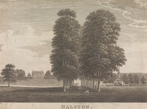 Halston; página 22 (Volume Dois) de Unknown artist