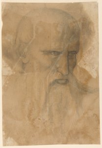 Cabeça de um homem barbudo idoso de Unknown artist