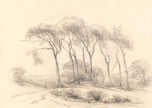 Árvores altas de Unknown artist