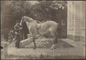 [Cavalo e Homem]. de Unknown artist