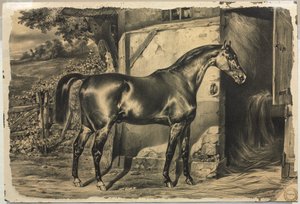 Cavalo na frente de um celeiro (verso) de Unknown artist