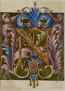 Inicial "N" iluminada com folhas de acanto de um livro de coro de Unknown artist