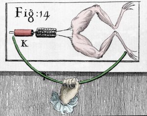 Ilustração de experiências de Luigi Galvani, físico e médico italiano (1737 - 1798) explicando a passagem de corrente elétrica movendo as pernas de um sapo. de Unknown artist