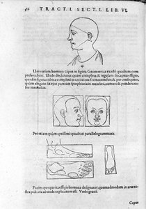 Imagem de fisionomia da "Collectio Operum" de Robert Fludd (Robertus de Fluctibus). Londres 1617. de Unknown artist