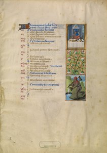 Página de calendário de janeiro; Festas; Aquário de Unknown artist