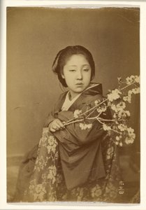 [Mulher japonesa segurando um ramo de prunus em flor]. de Unknown artist