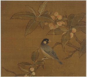 Java Sparrow em um galho de bagas de Unknown artist
