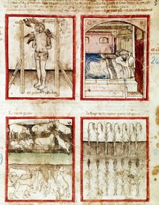 Joseph interpreta os sonhos do fabricante de cestos que termina o seu corte de cabeça. No canto superior direito, o faraó sonha com as sete vacas gordas, premonição dos anos de abundância e as sete vacas magras dos anos de fome Miniatura tirada do códice 2 de Unknown artist