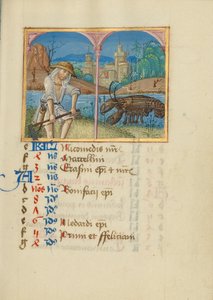 Página do calendário de junho; Corte de relva; Cancro de Unknown artist