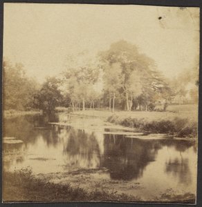 [Paisagem com lago]. de Unknown artist