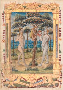 Folha de um Livro de Horas: Adão e Eva e a Queda do Homem (Miniatura Prefatória ao Ofício da Virgem) (reto) de Unknown artist