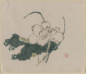 Flor de Lótus de Unknown artist
