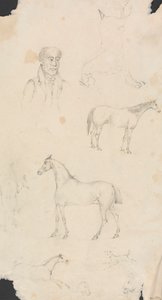 Homem, Cavalos e Cães de Unknown artist