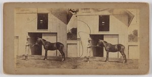 [Homem a segurar o cavalo pelo freio]. de Unknown artist
