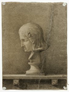 Busto de mármore de um jovem de Unknown artist