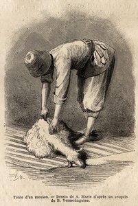 Corte de uma ovelha por um jovem tártaro, em Schusha (Transcaucasia, Rússia). Gravura para ilustrar a viagem nas províncias do Cáucaso, por Basile Vereschaguine, em 1864-1865, publicada em "le tour du monde", sob a direcção de D