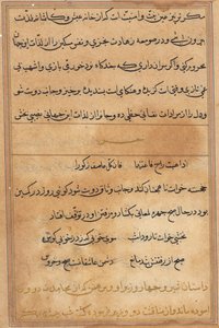 Página de Tales of a Parrot (Tuti-nama): página de texto de Unknown artist