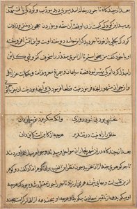 Página de Tales of a Parrot (Tuti-nama): página de texto de Unknown artist