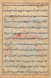 Página de Tales of a Parrot (Tuti-nama): página de texto de Unknown artist