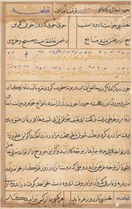 Página de Tales of a Parrot (Tuti-nama): página de texto de Unknown artist