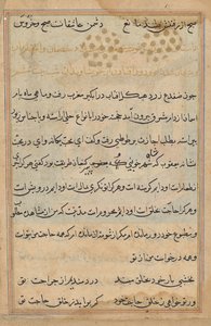 Página de Tales of a Parrot (Tuti-nama): página de texto de Unknown artist