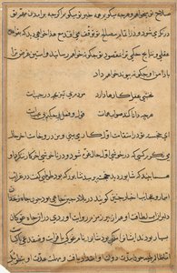 Página de Tales of a Parrot (Tuti-nama): página de texto de Unknown artist