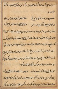 Página de Tales of a Parrot (Tuti-nama): página de texto de Unknown artist