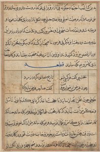 Página de Contos de um papagaio (Tuti-nama): página de texto de Unknown artist