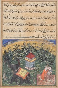 Página de Contos de um papagaio (Tuti-nama): página de texto de Unknown artist