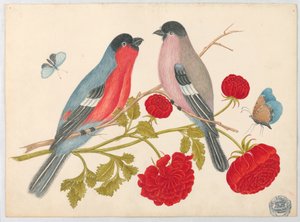 Par de pássaros no galho com rosas e borboletas de Unknown artist