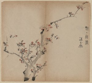 Flores de pêssego de Unknown artist
