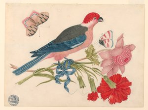 Pássaro rosa, vermelho, azul e preto no galho com flores e borboletas de Unknown artist