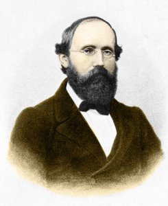 Retrato de Bernhard Riemann (1826-1866.) matemático alemão de Unknown artist