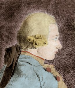 Retrato de Donatiano Alphonse Francois de Sade (1740-1814) (Marquês de Sade) - depois de Van Loo de Unknown artist