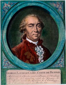 Retrato de George Louis Le Clerc, Conde de Buffon (1707-1788), naturalista e escritor francês. Gravura do século XVIII. Coleção particular. de Unknown artist