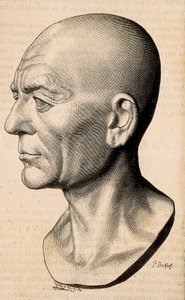 Retrato de Publius Cornelius Scipio (Scipio o Africano) Africanus, estadista romano (235-183 AC). de Unknown artist